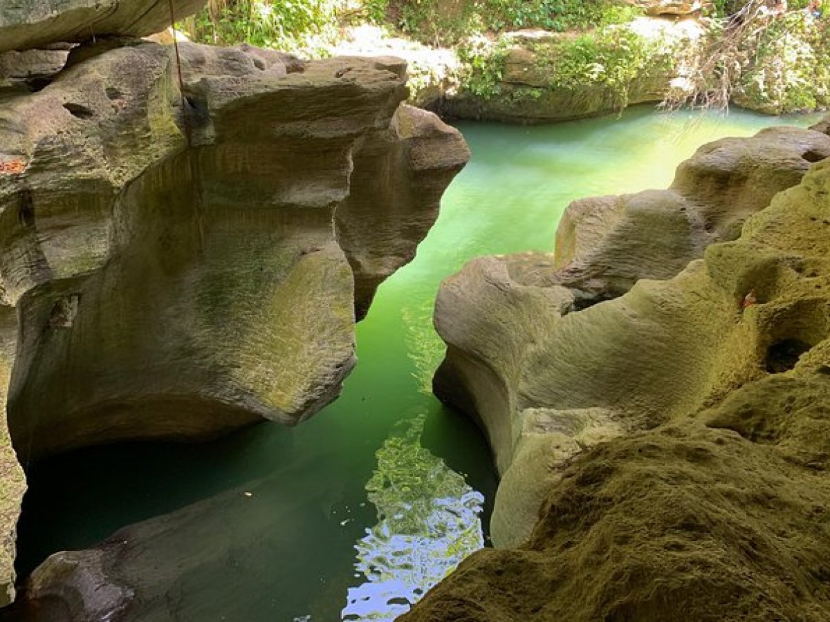 a close up of a rock next to a body of water