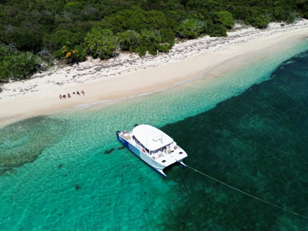 a beach with a surf board on a body of water