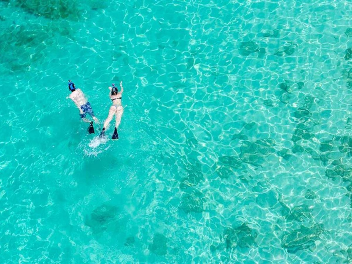 a person swimming in a pool of water