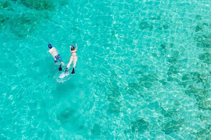 a person swimming in a pool of water