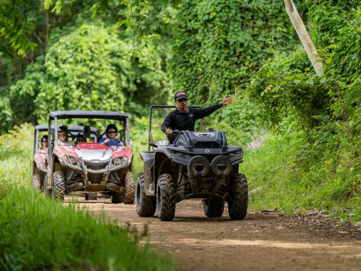 a person riding on the back of a truck