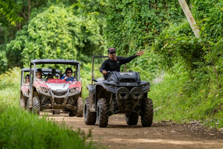 a person riding on the back of a truck