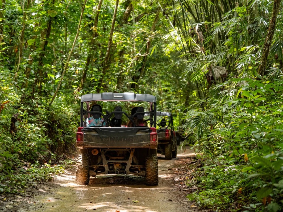a truck is parked in a forest
