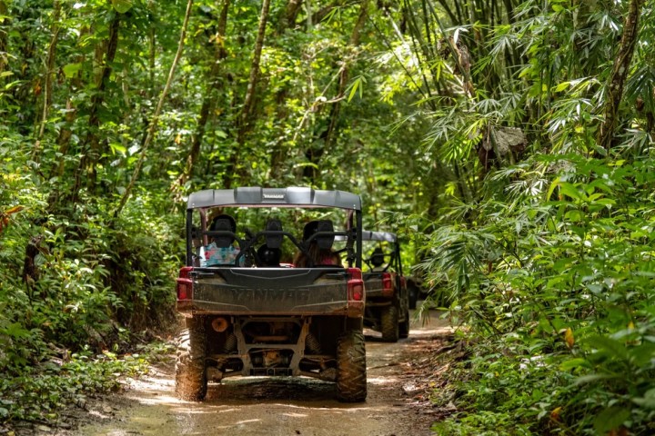 a truck is parked in a forest
