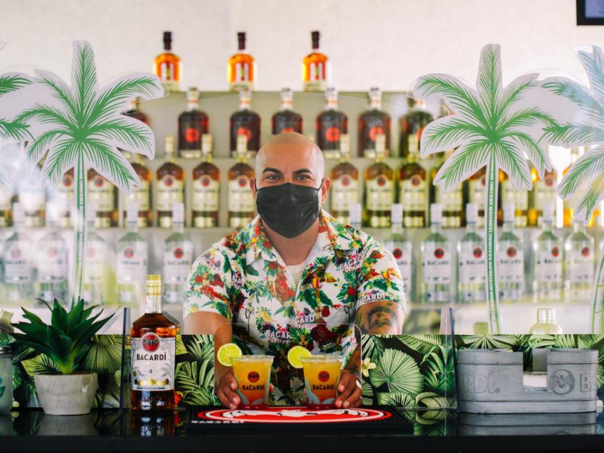 a person standing next to a palm tree on a table