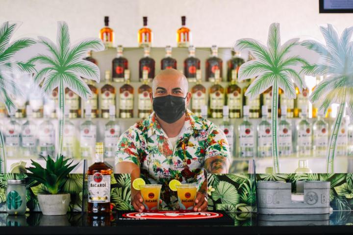 a person standing next to a palm tree on a table