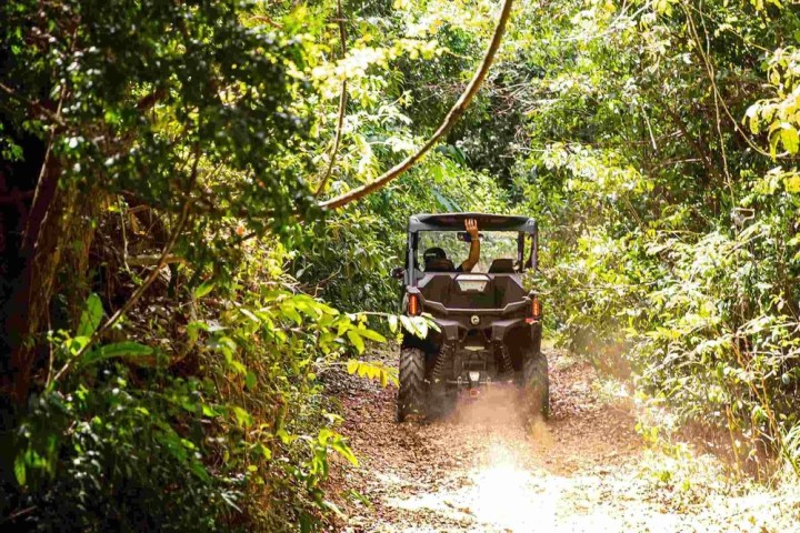 Off-road vehicle driving through lush green forest trail