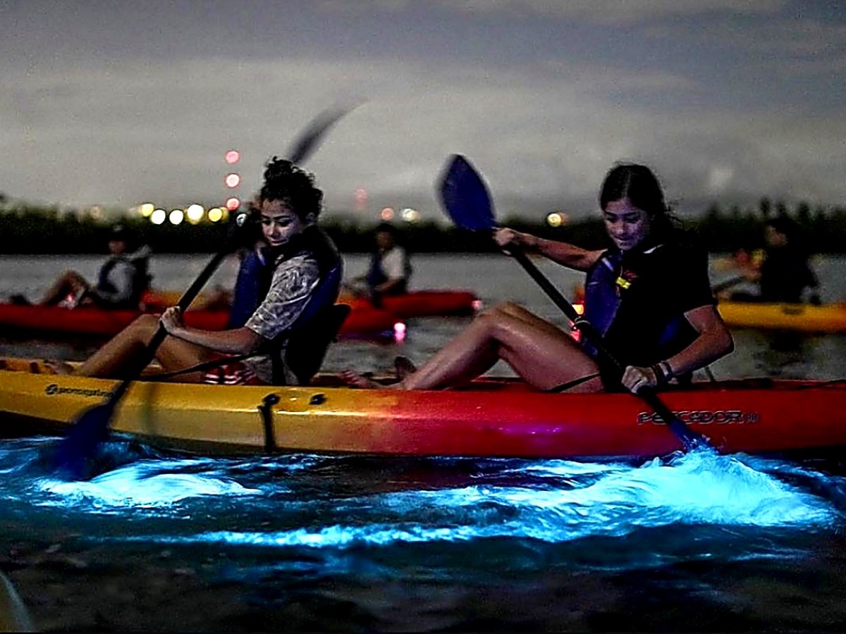 Two people kayaking at night with glowing bioluminescent water around their paddles.