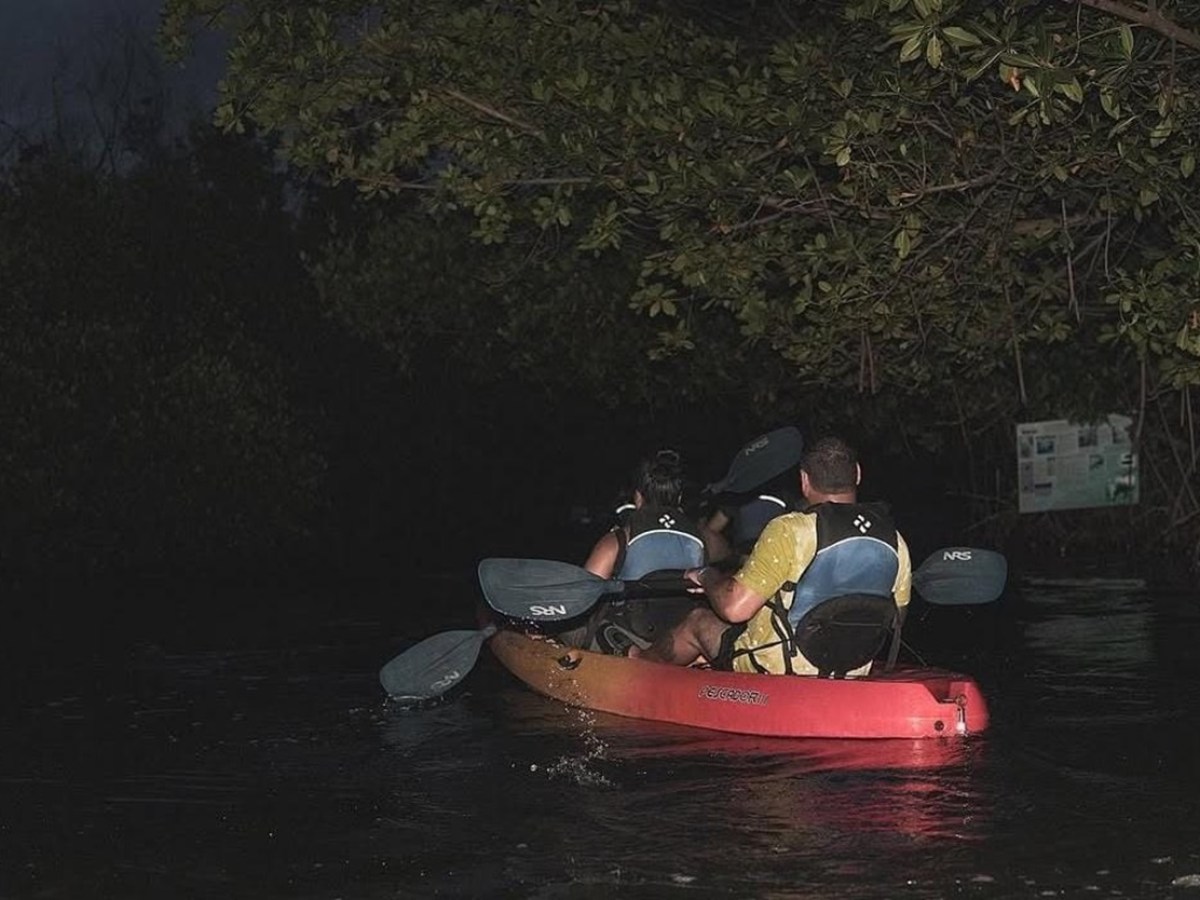 Two people kayaking at night under dense tree canopy on a calm river.