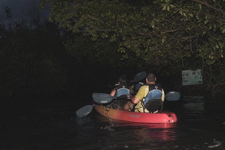 Two people kayaking at night under dense tree canopy on a calm river.