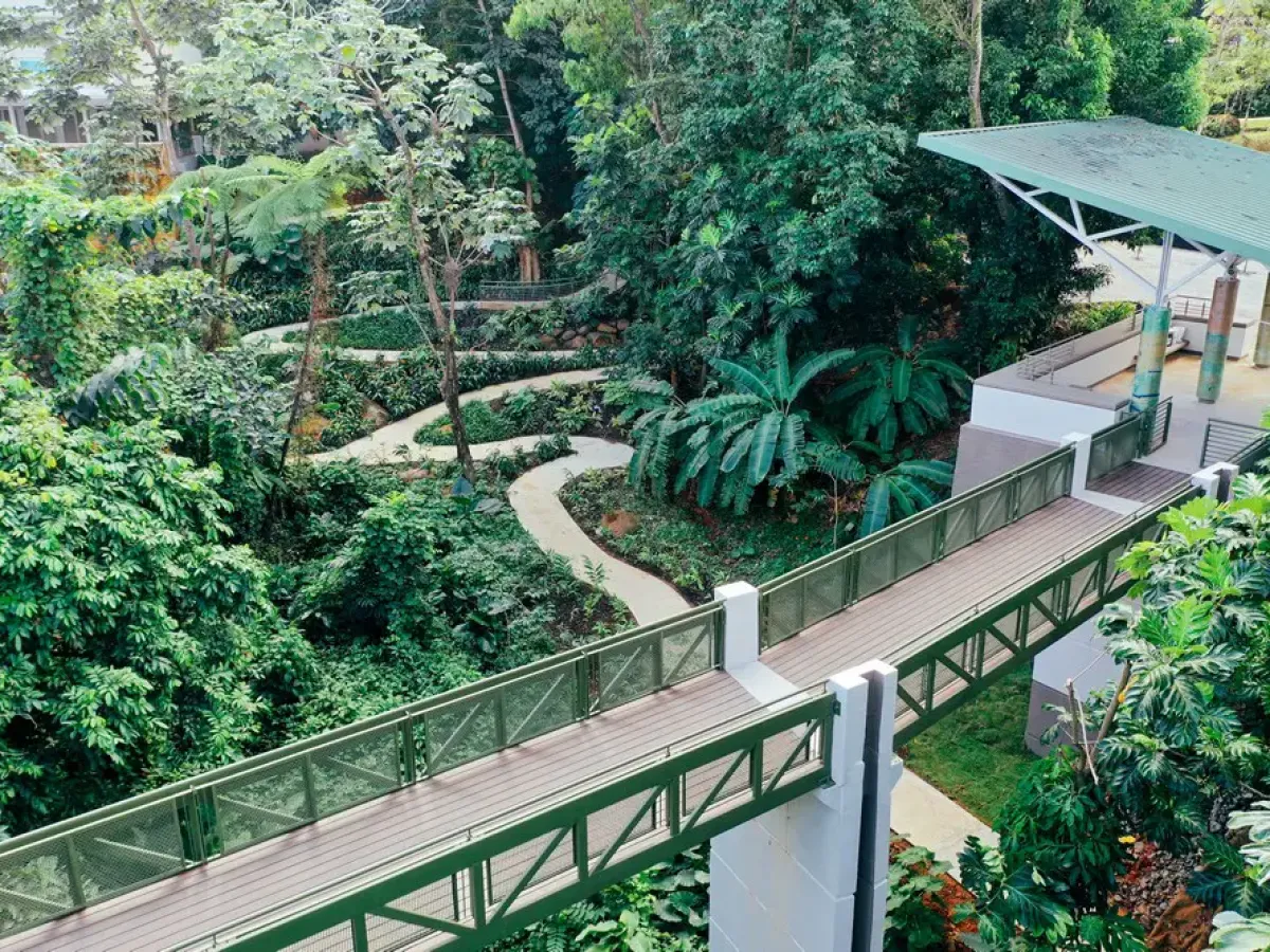 Elevated walkway in lush tropical garden setting with pathway and canopy.