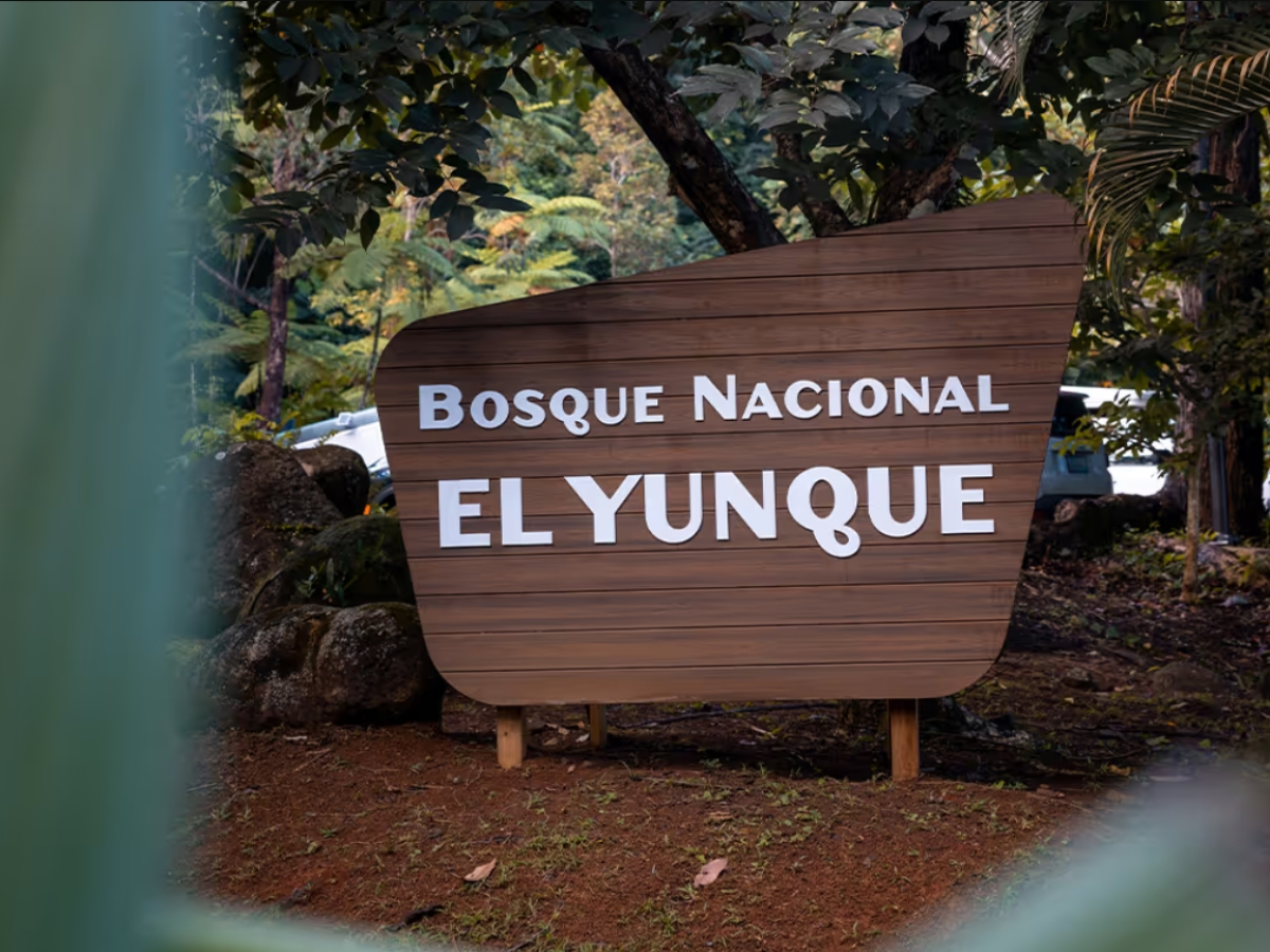El Yunque National Forest sign surrounded by green trees.