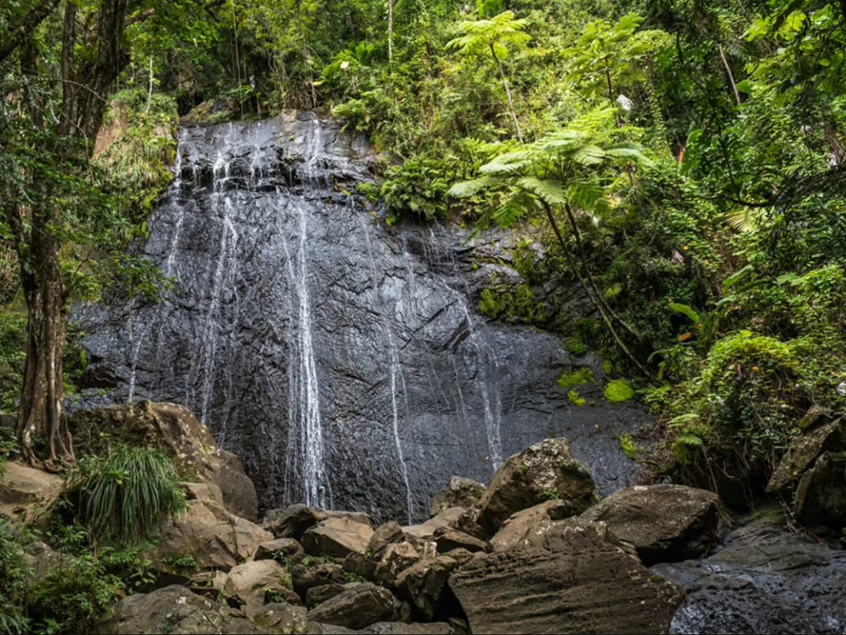 Waterfall cascading over rocks surrounded by lush green forest.