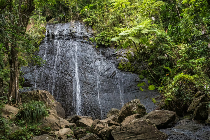 Waterfall cascading over rocks surrounded by lush green forest.