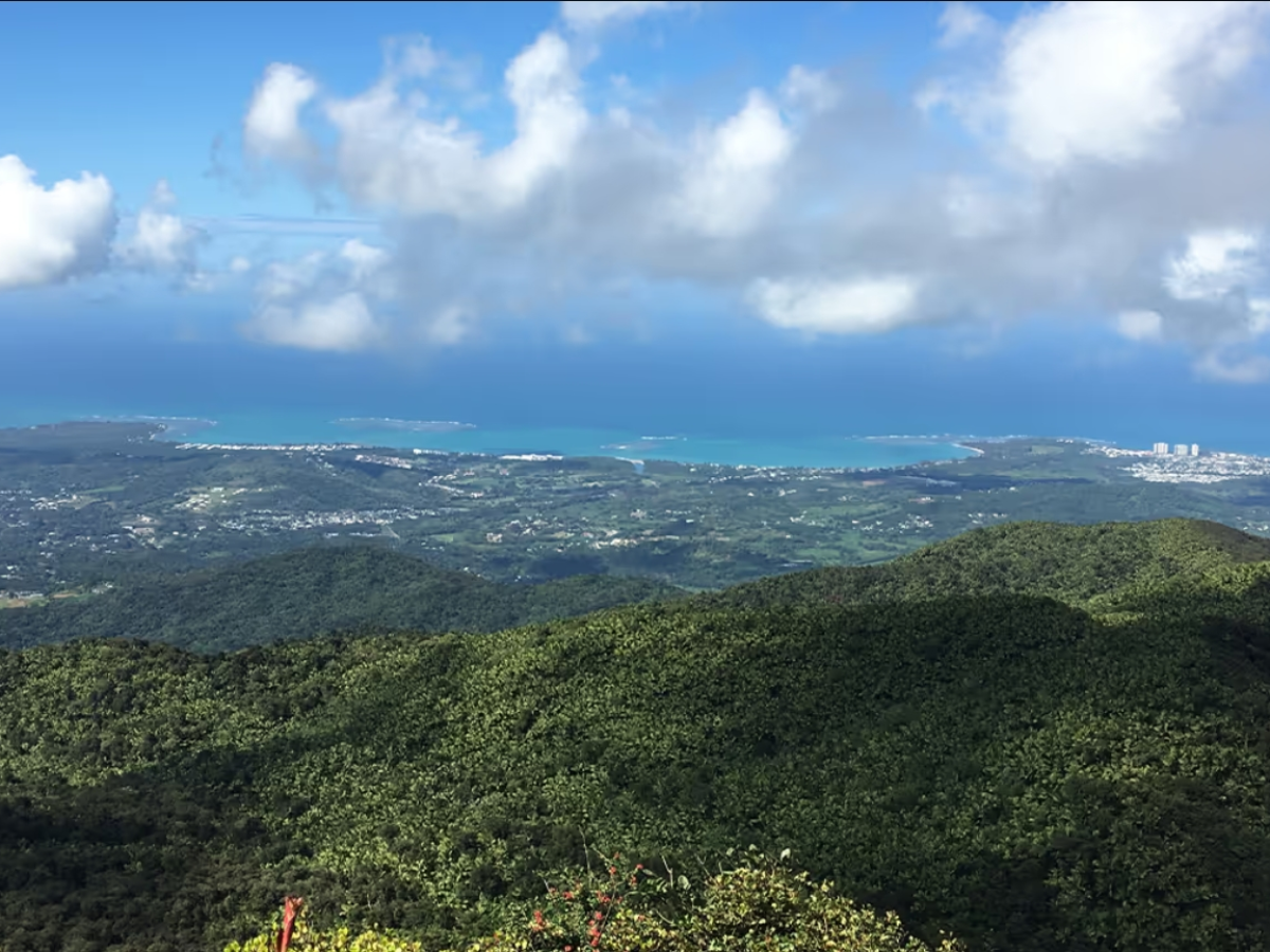 Aerial view of lush green hills with a coastline in the distance under a partly cloudy blue sky.