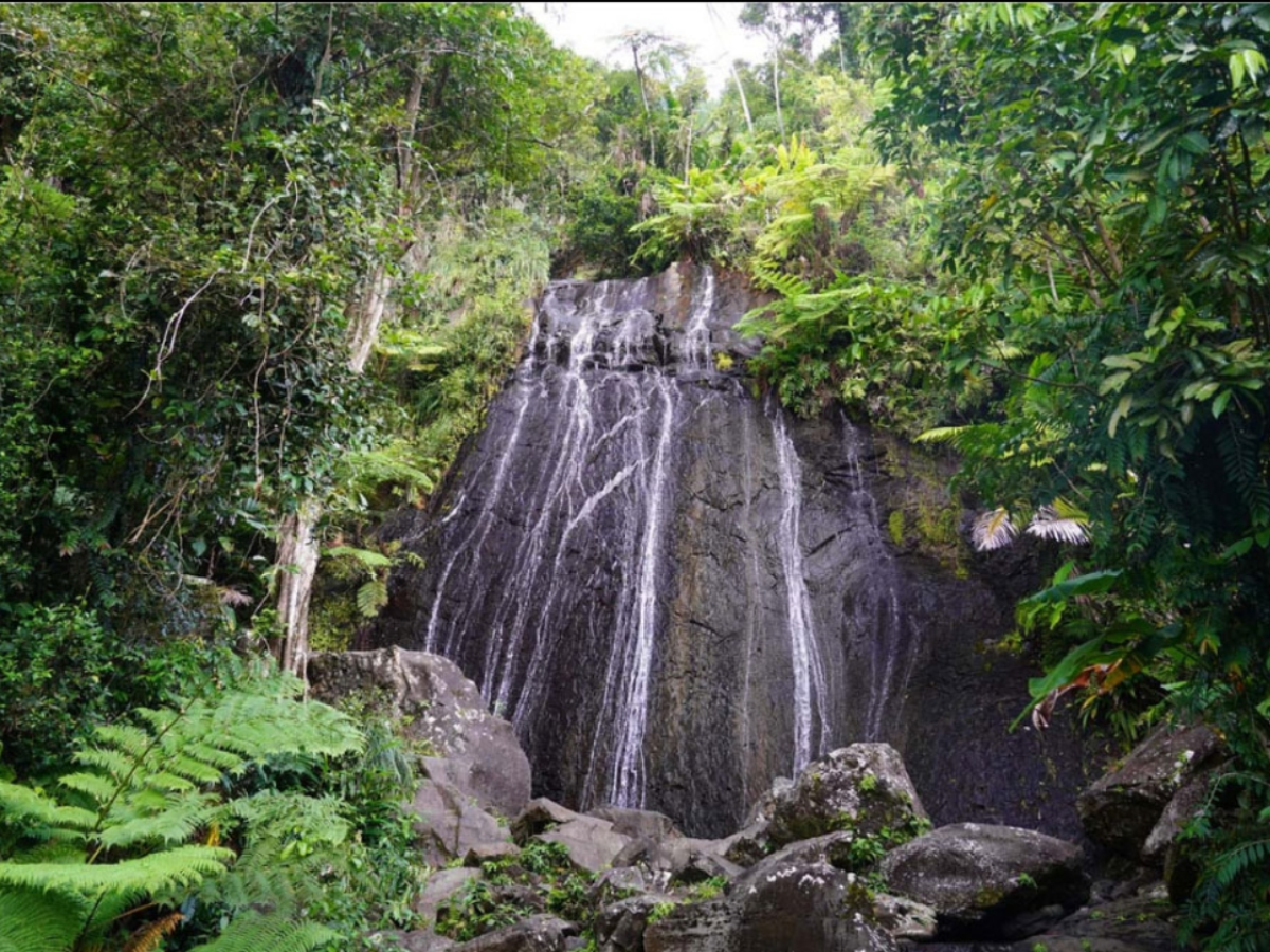 Waterfall cascading down a rocky cliff surrounded by lush green foliage.
