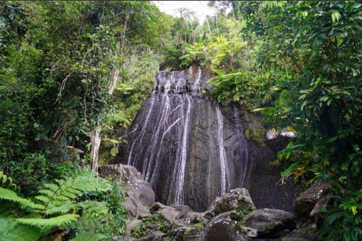 Waterfall cascading down a rocky cliff surrounded by lush green foliage.