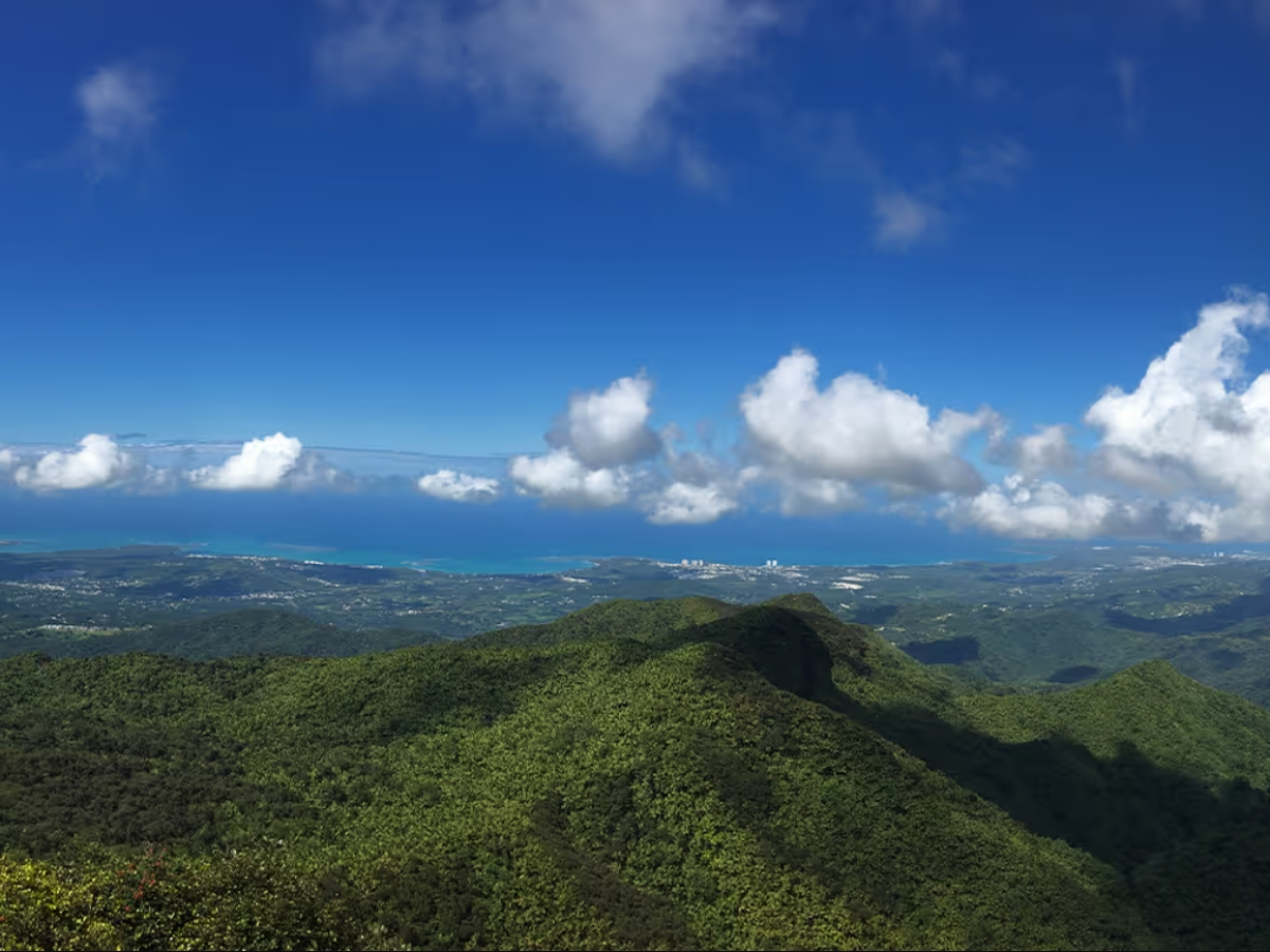 Lush green hills with a distant city and ocean under a blue sky with scattered clouds.
