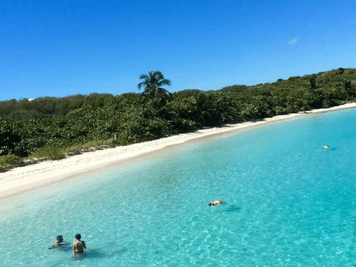 People swimming in clear blue ocean near a tropical beach with lush greenery.