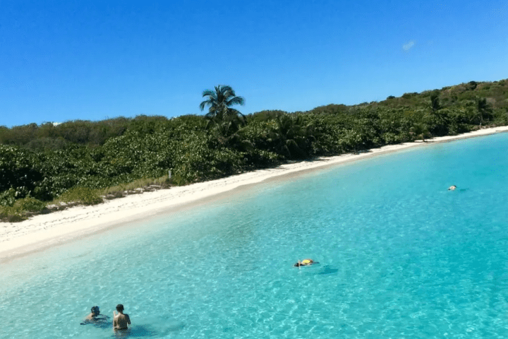 People swimming in clear blue ocean near a tropical beach with lush greenery.
