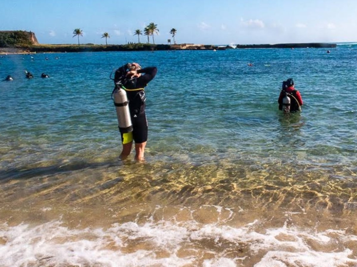 Divers in wetsuits and gear entering the ocean from a sandy beach, with palm trees in the background.