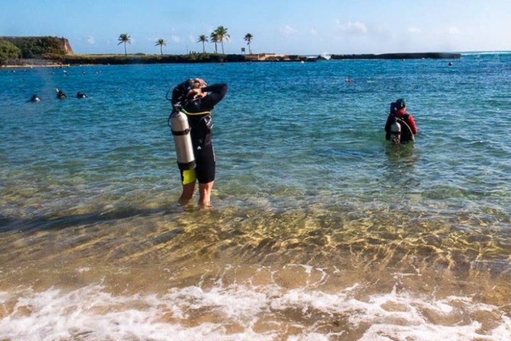 Divers in wetsuits and gear entering the ocean from a sandy beach, with palm trees in the background.