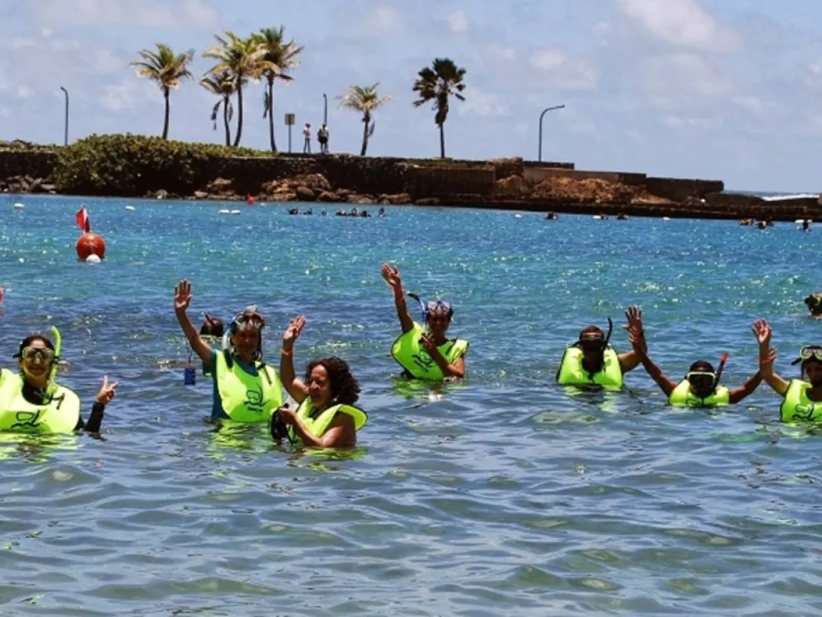 Group of people in neon vests snorkeling and waving in the ocean near a rocky shore with palm trees.