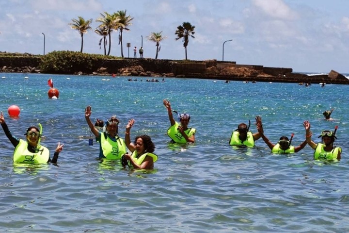 Group of people in neon vests snorkeling and waving in the ocean near a rocky shore with palm trees.