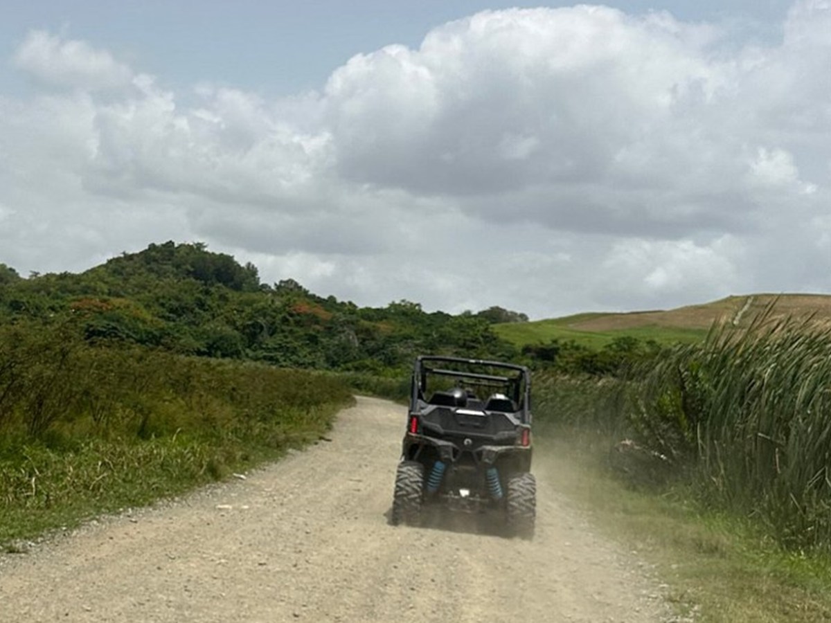 Off-road vehicle driving on a dirt path through lush greenery under a cloudy sky.