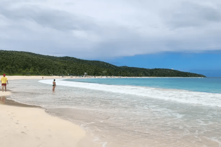 People walking along a sandy beach with gentle waves and a forested hill in background.