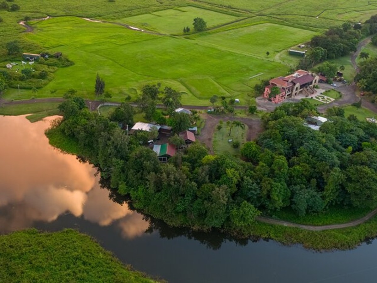 Aerial view of a green landscape with trees, a pond, and buildings.