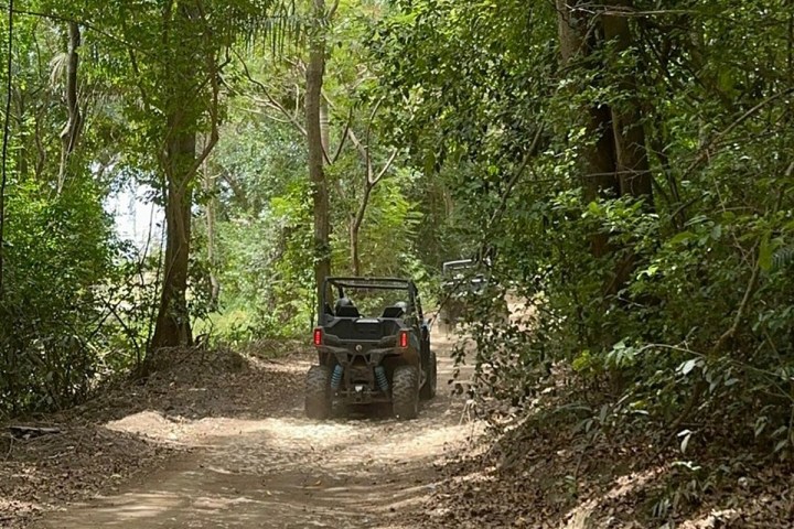 Two ATVs on a forest trail surrounded by dense green foliage.