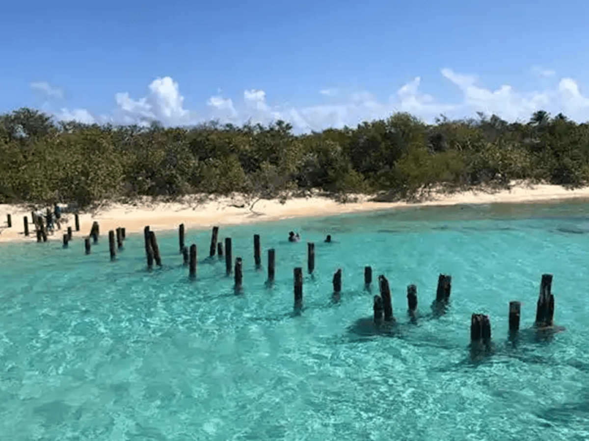 Clear turquoise water with wooden posts and distant sandy beach with trees.
