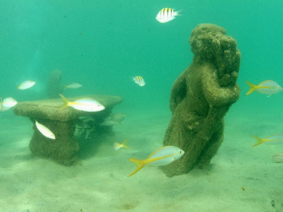 Underwater statue and bench surrounded by colorful fish in clear water.