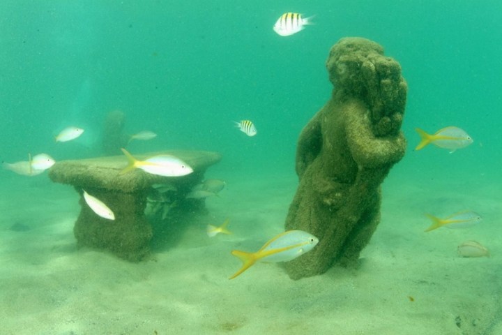 Underwater statue and bench surrounded by colorful fish in clear water.