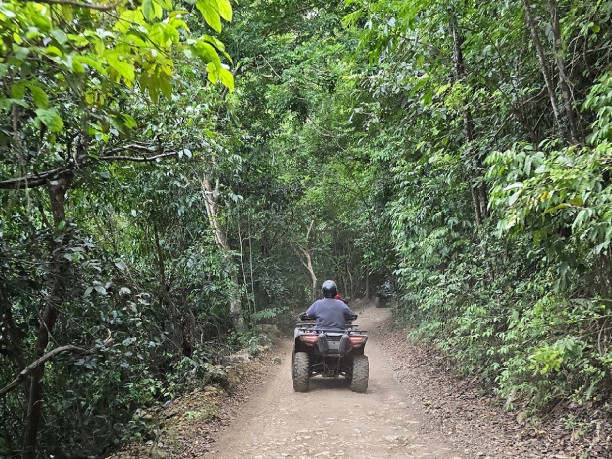 Person riding an ATV on a dirt path through dense green forest.