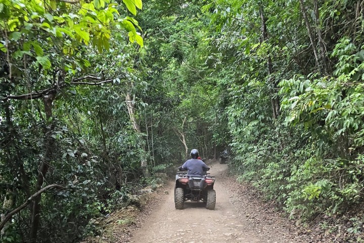 Person riding an ATV on a dirt path through dense green forest.