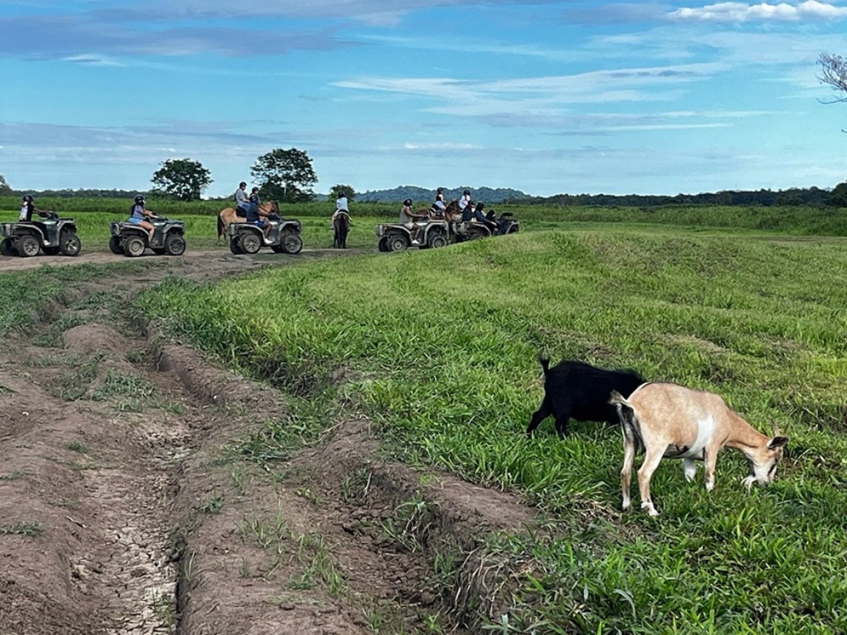 Group on ATVs and horseback in a field, with two goats grazing nearby.