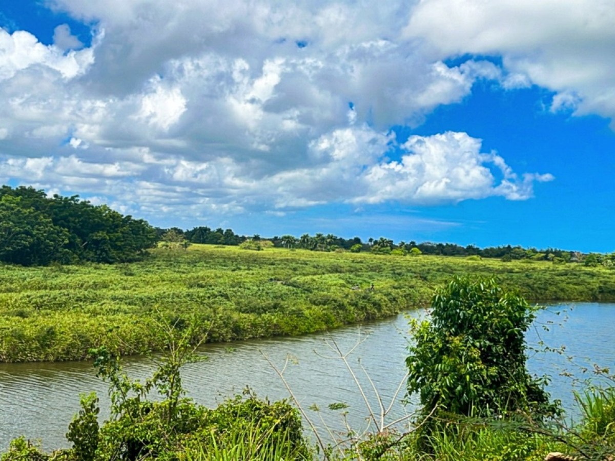 Lush green landscape with a river, trees, and a cloudy blue sky.