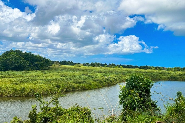 Lush green landscape with a river, trees, and a cloudy blue sky.