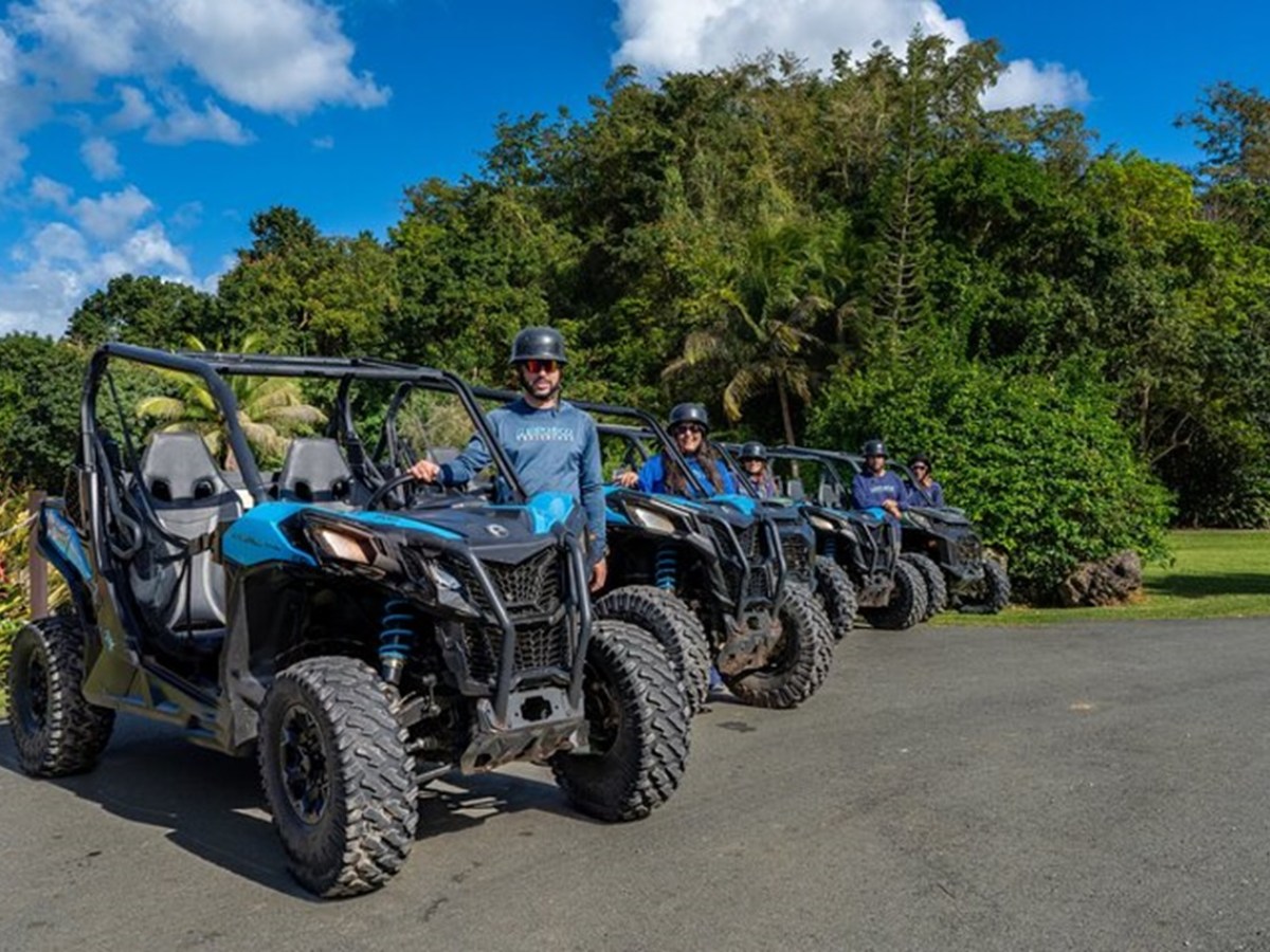Four people in helmets with blue ATVs lined up on a sunny road next to a lush green forest.