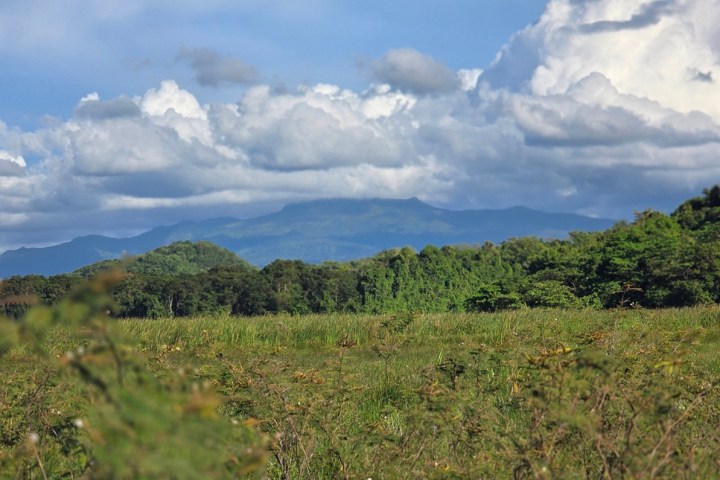 Scenic view of grassy field, dense forest, and distant mountains under cloudy blue sky.