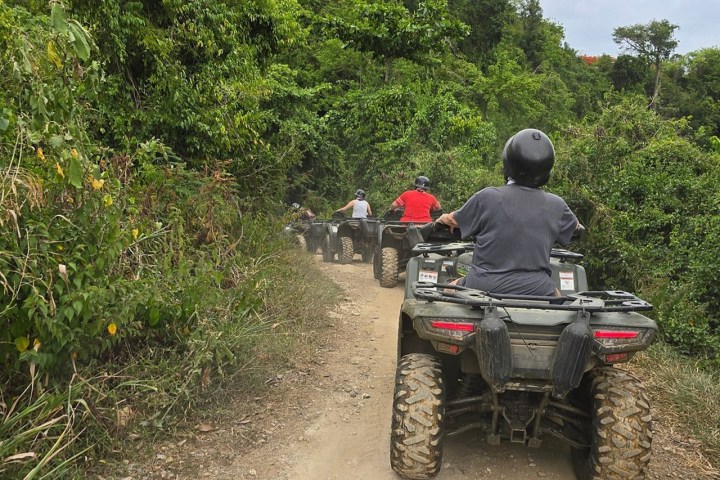Group of people riding ATVs on a forest trail.