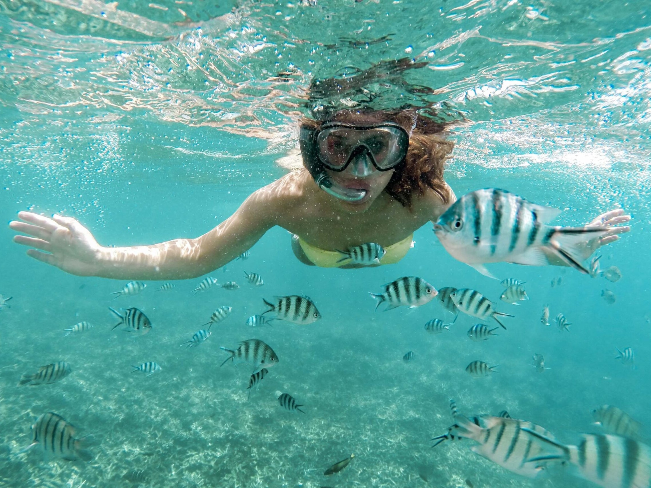 Person snorkeling underwater with a school of striped fish in clear blue water.