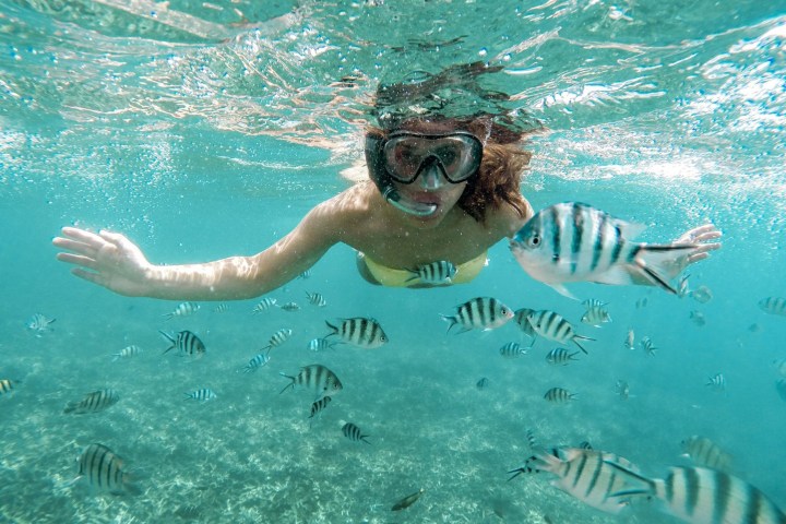 Person snorkeling underwater with a school of striped fish in clear blue water.