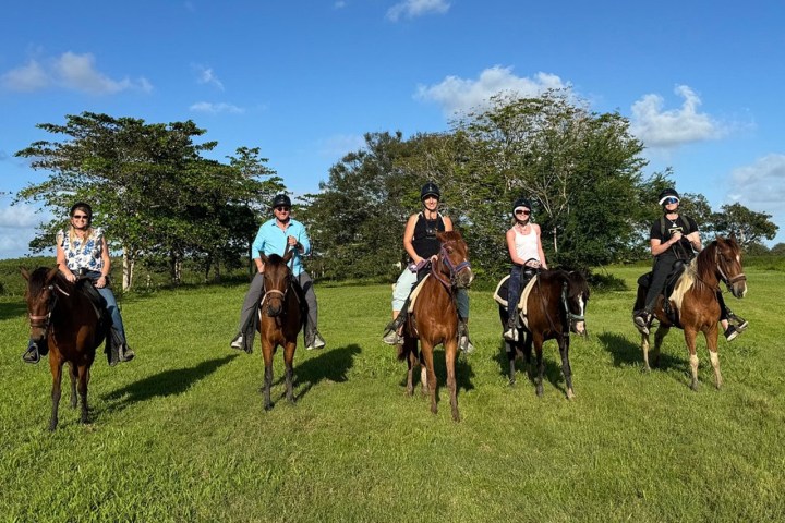 Five people riding horses on a sunny day in a grassy field.