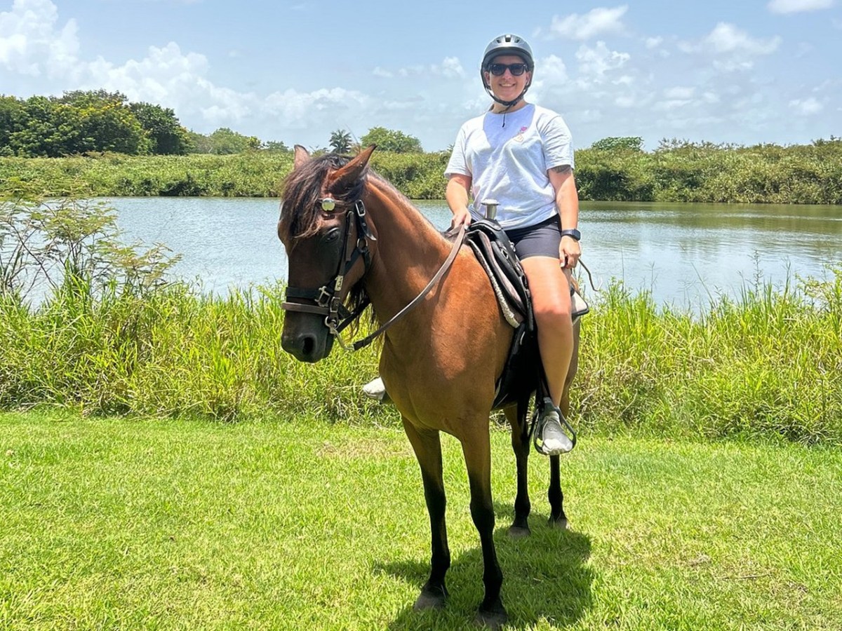 Person riding a brown horse near a pond on a sunny day, wearing a helmet and sunglasses.