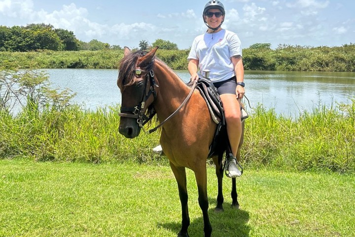 Person riding a brown horse near a pond on a sunny day, wearing a helmet and sunglasses.