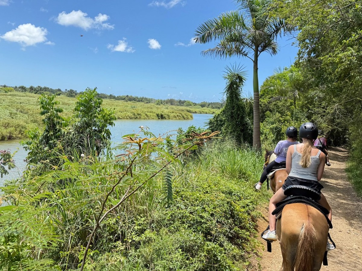 Two people horseback riding on a trail beside a river, surrounded by lush greenery under a clear blue sky.