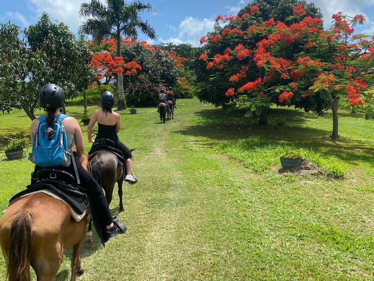 People horseback riding on a grassy trail, surrounded by trees with orange flowers.